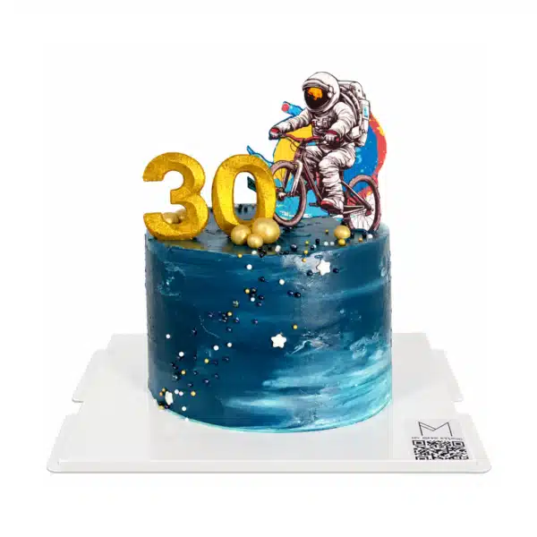 851SpaceRiderCake 1024x1024 600x600