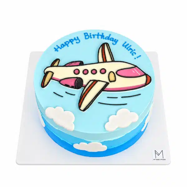 0159 Airplane Cake 600x600.png