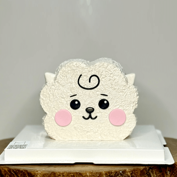 0248 bt21 Jin RJ