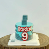 0270 Roblox Cake